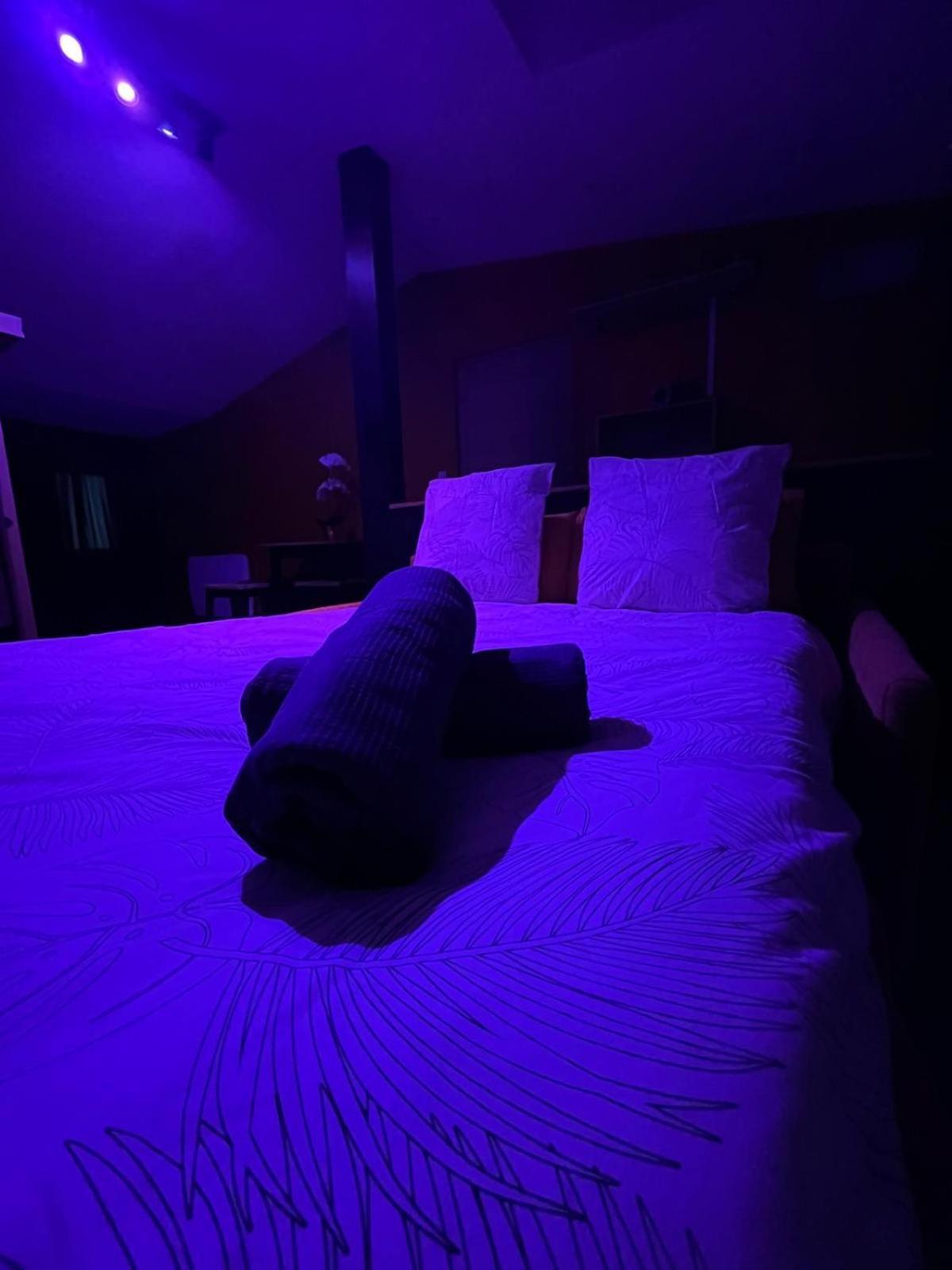 Suite Avec Sauna 36M² Niort Exteriér fotografie